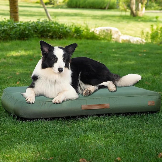 Novora inflatable waterproof travel dog bed